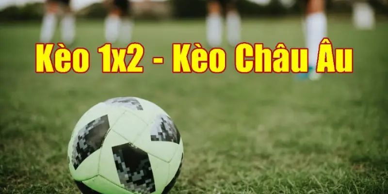 Hướng dẫn cách đọc kèo châu Âu WW88 dễ hiểu cho tân binh