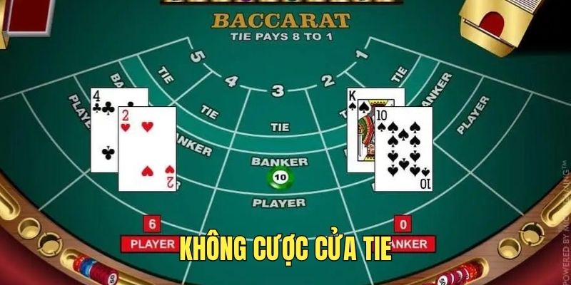 Không nên cược vào cửa Tie vì có nguy cơ thua