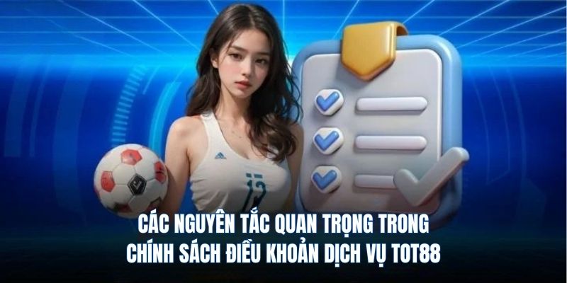 Các nguyên tắc quan trọng trong chính sách điều khoản dịch vụ TOT88