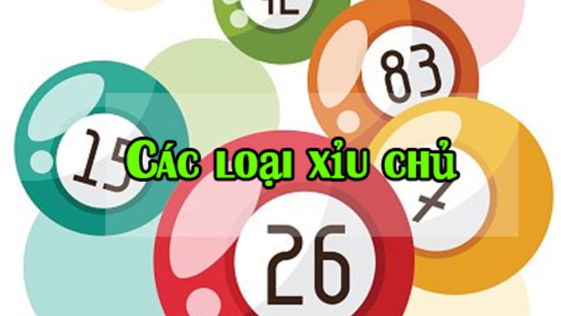 Nhà Các 88I Có Bao Nhiêu Loại Xỉu Chủ? 