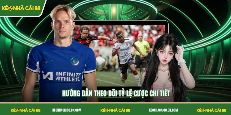 Hướng dẫn theo dõi tỷ lệ cược chi tiết